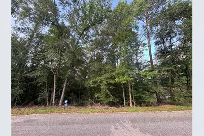 0 Long Drive, Conroe, TX 77302 - Photo 10