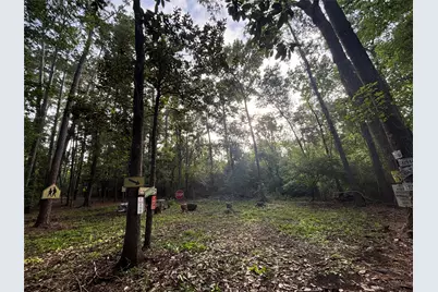 0 Long Drive, Conroe, TX 77302 - Photo 4