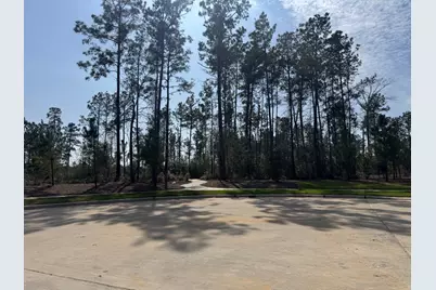 15743 Hoptree Heights Lane, Conroe, TX 77302 - Photo 42