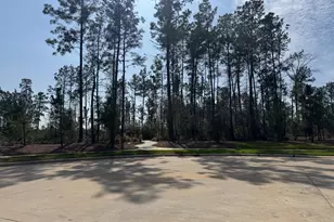 15743 Hoptree Hts Ln, Conroe, TX 77302 - Photo 42