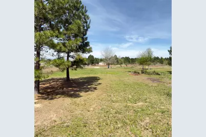 445 Road 5242, Cleveland, TX 77327 - Photo 6