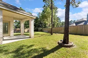 254 Aster View Ct, Montgomery, TX 77316 - Photo 36