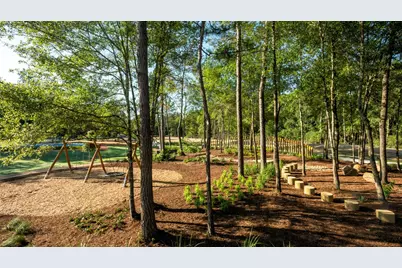 18234 Hardy Fir Court, Conroe, TX 77302 - Photo 20