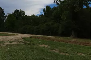 2534 County Rd 676, Dayton, TX 77535 - Photo 14