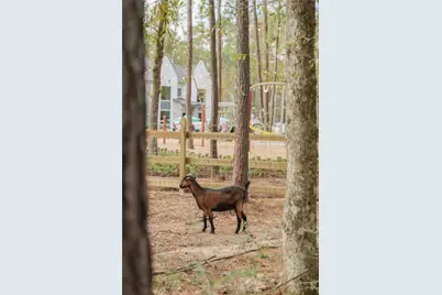 11935 Braided Mane Street, Montgomery, TX 77316 - Photo 34