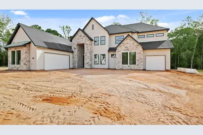 11935 Braided Mane Street, Montgomery, TX 77316 - Photo 2