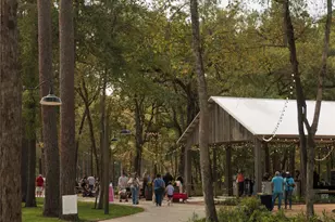 11935 Braided Mane St, Montgomery, TX 77316 - Photo 36