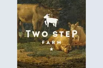 11935 Braided Mane Street, Montgomery, TX 77316 - Photo 20