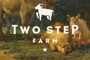 11935 Braided Mane St, Montgomery, TX 77316 - Photo 14