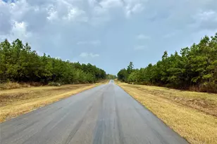 15886 Wood Grv Wy, Willis, TX 77378 - Photo 6