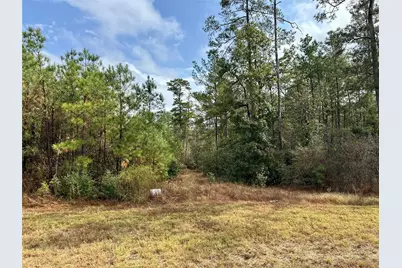 15886 Wood Grove Way, Willis, TX 77378 - Photo 4