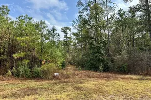 15886 Wood Grv Wy, Willis, TX 77378 - Photo 4