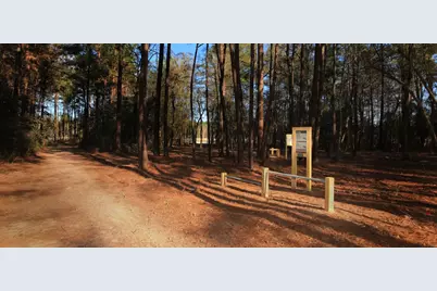 18047 Brennie Bird Lane, Conroe, TX 77302 - Photo 34