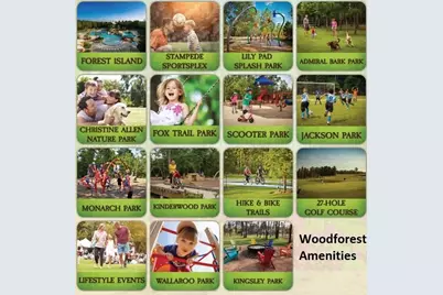 221 Christine Manor, Montgomery, TX 77316 - Photo 50