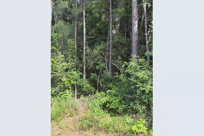 Tbd Fm 1127 Road, Shepherd, TX 77371 - Photo 4
