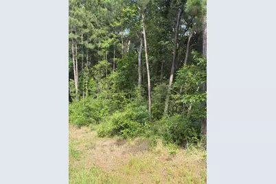 Tbd Fm 1127 Road, Shepherd, TX 77371 - Photo 6