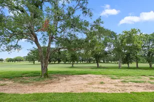 210 Birdie Dr, Hempstead, TX 77445 - Photo 42