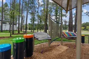 4313 Wapama Fls Ct, Conroe, TX 77303 - Photo 20