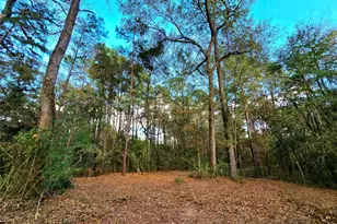 28028 Crossway Oaks, Magnolia, TX 77355 - Photo 4