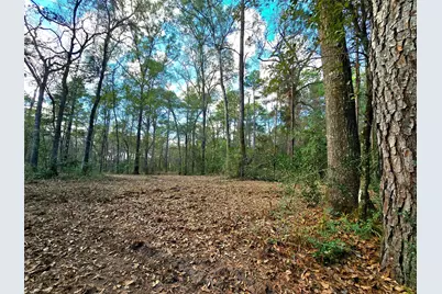 28028 Crossway Oaks, Magnolia, TX 77355 - Photo 2