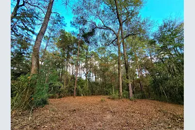 28028 Crossway Oaks, Magnolia, TX 77355 - Photo 4