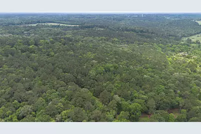 0 Rose Hill Road, Coldspring, TX 77331 - Photo 4