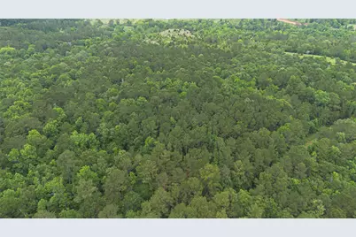 0 Rose Hill Road, Coldspring, TX 77331 - Photo 12