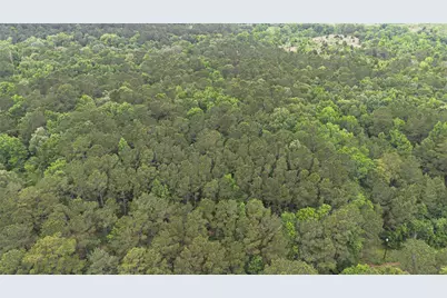 0 Rose Hill Road, Coldspring, TX 77331 - Photo 16