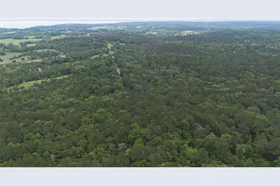 0 Rose Hill Road, Coldspring, TX 77331 - Photo 10