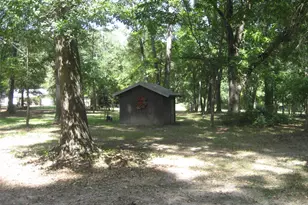 4759 Co Rd 1655, Grapeland, TX 75844 - Photo 4