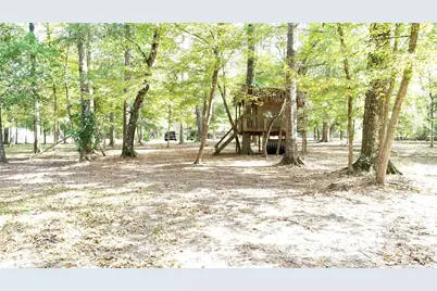 630 Hillbilly Heaven Road, Livingston, TX 77351 - Photo 8