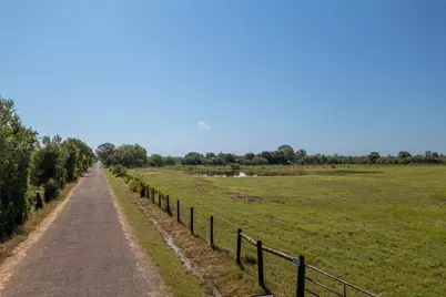 40687 Dusek Lane, Hempstead, TX 77445 - Photo 14
