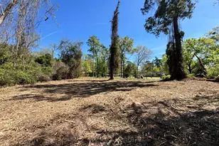 0 Timber Lakes Dr, Spring, TX 77380 - Photo 2