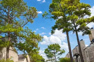 6000 Reims Rd, Houston, TX 77036 - Photo 4