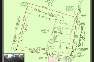 7389 Teaswood Dr, Conroe, TX 77304 - Photo 6