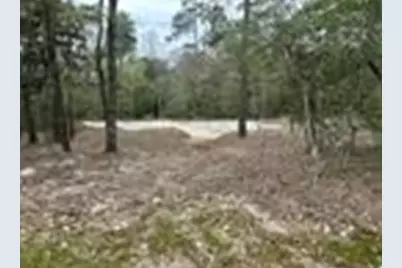 7389 Teaswood Drive, Conroe, TX 77304 - Photo 12