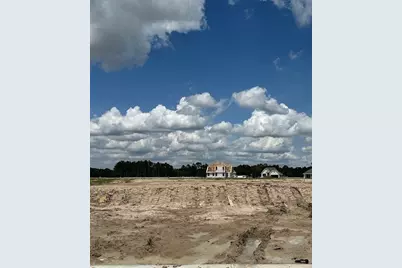 32415 Poplar Grove Lane, Spring, TX 77386 - Photo 6