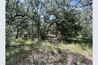 Tbd Hwy 90A, Sheridan, TX 77475 - Photo 10