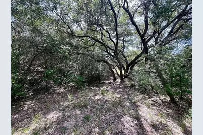 Tbd Hwy 90A, Sheridan, TX 77475 - Photo 2