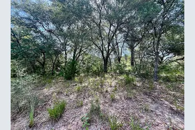 Tbd Hwy 90A, Sheridan, TX 77475 - Photo 4