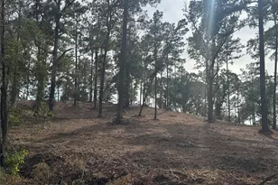 000896 County Road 219, Brookeland, TX 75931 - Photo 16