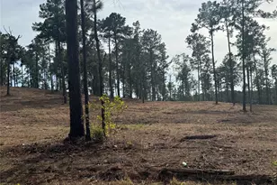 000896 County Road 219, Brookeland, TX 75931 - Photo 1