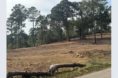 000896 County Road 219, Brookeland, TX 75931 - Photo 10