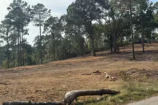 000896 County Road 219, Brookeland, TX 75931 - Photo 10