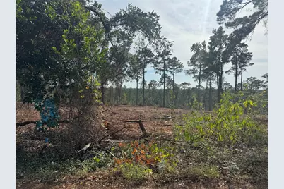 000896 County Road 219, Brookeland, TX 75931 - Photo 2