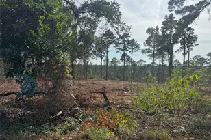 000896 County Road 219, Brookeland, TX 75931 - Photo 2