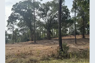 000896 County Road 219, Brookeland, TX 75931 - Photo 12