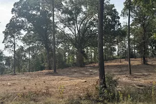 000896 County Road 219, Brookeland, TX 75931 - Photo 12