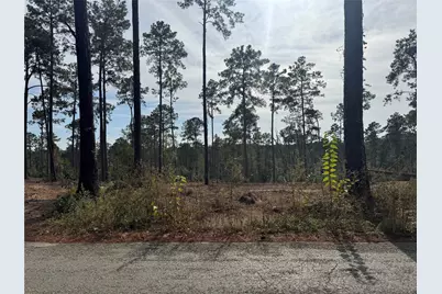 000896 County Road 219, Brookeland, TX 75931 - Photo 6