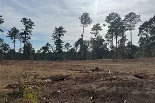 000896 County Road 219, Brookeland, TX 75931 - Photo 28